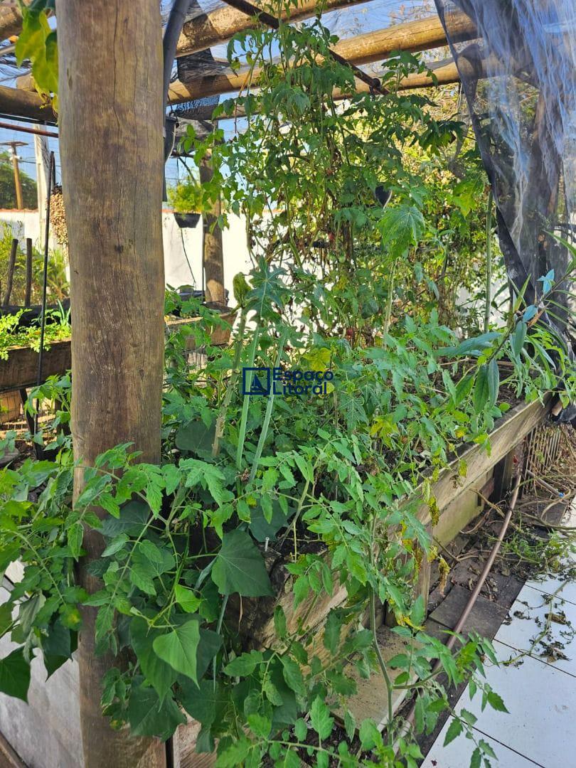 Casa, 1 quarto, 80 m² - Foto 7