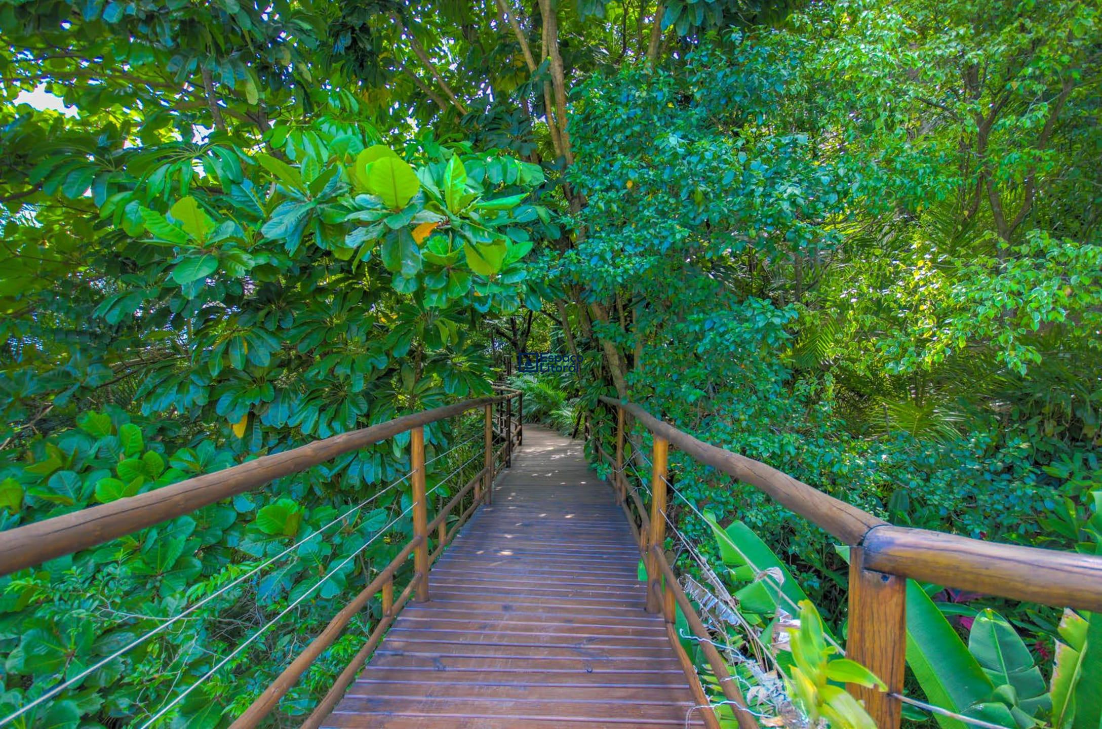 Casa, 8 quartos, 654 m² - Foto 8