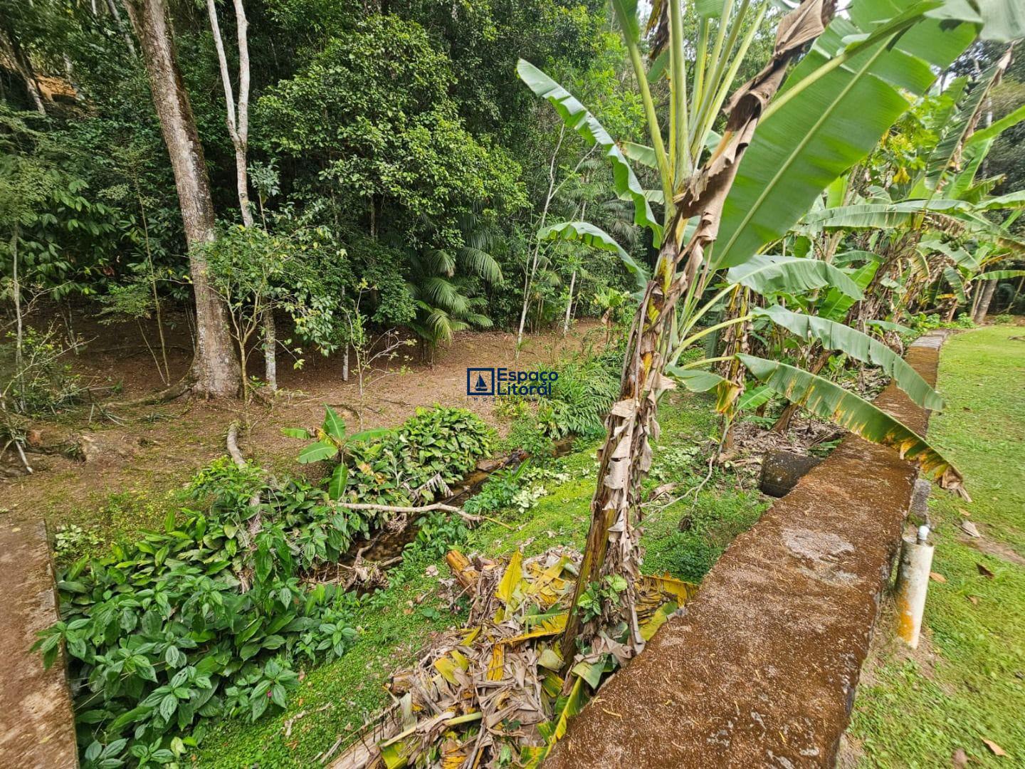 Chácara, 4 quartos, 6892 m² - Foto 28