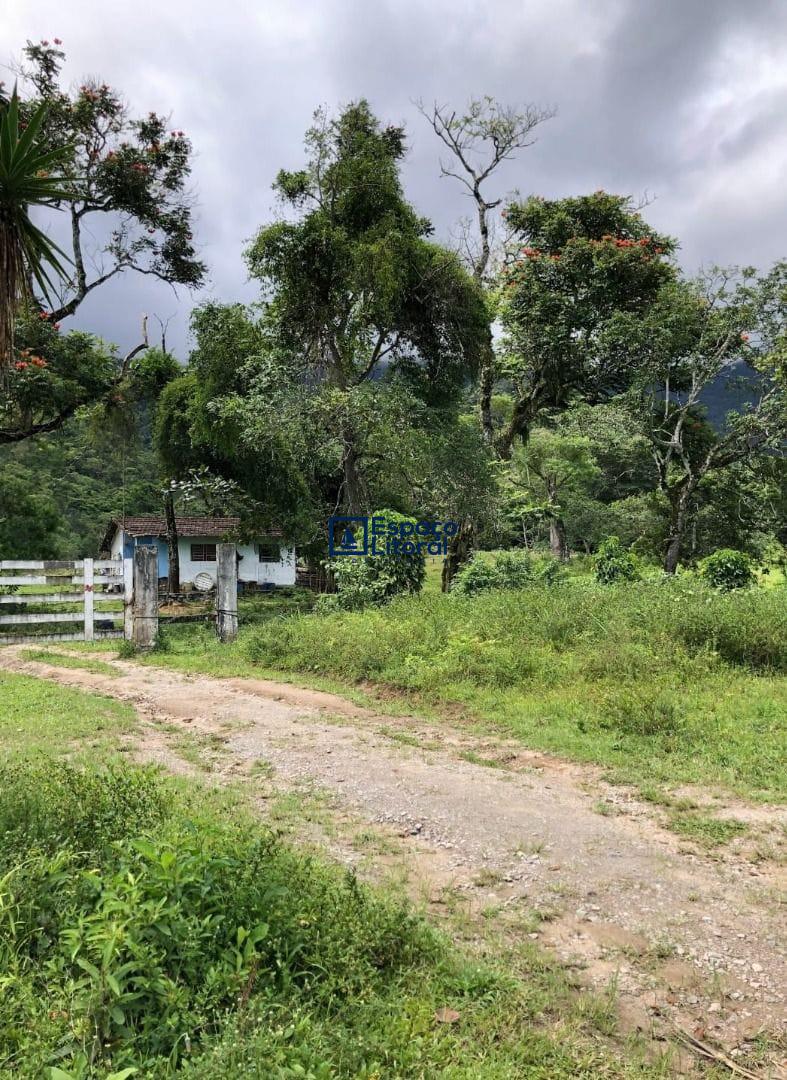 Fazenda-Sítio-Chácara, 81 hectares - Foto 11