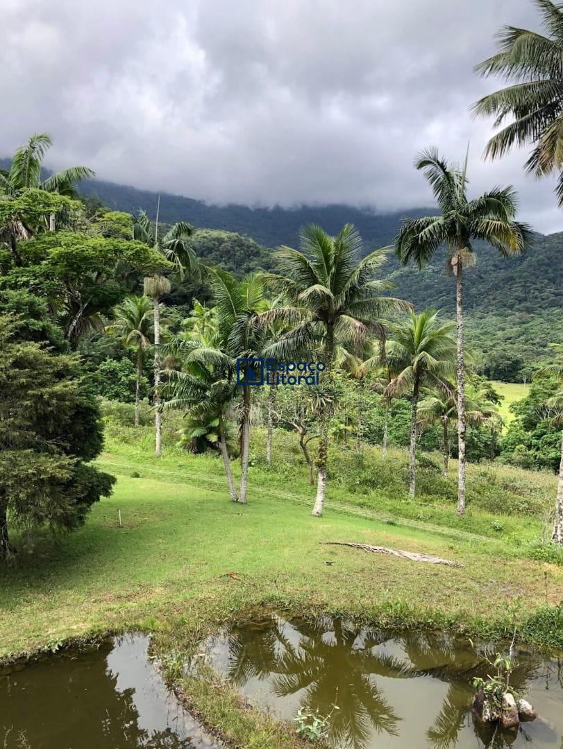 Fazenda-Sítio-Chácara, 81 hectares - Foto 12