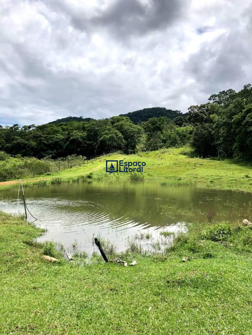 Fazenda-Sítio-Chácara, 81 hectares - Foto 13