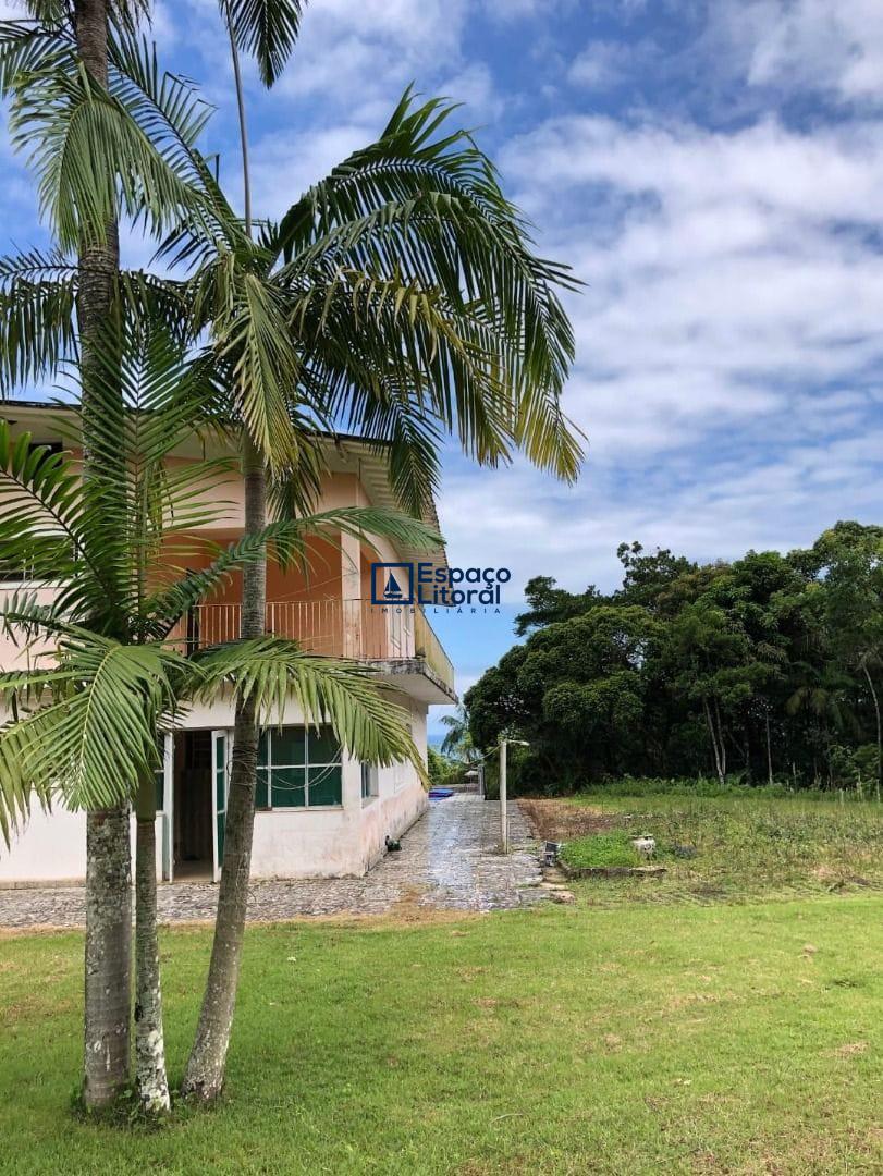 Fazenda-Sítio-Chácara, 81 hectares - Foto 15