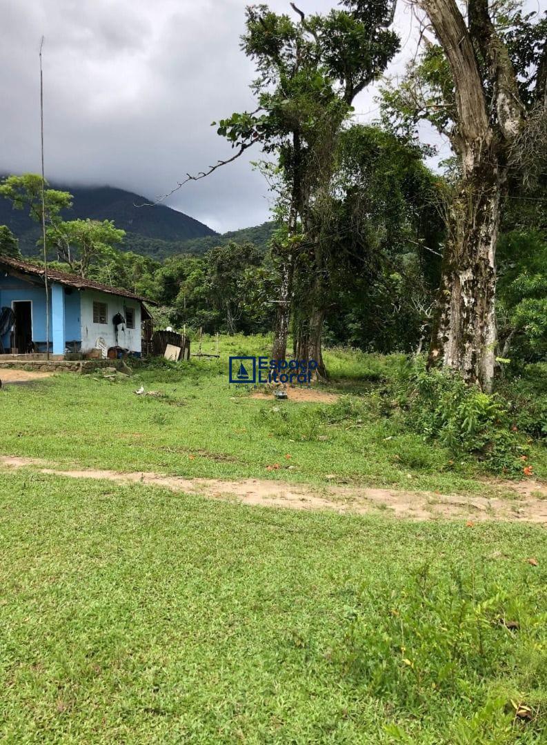 Fazenda-Sítio-Chácara, 81 hectares - Foto 16