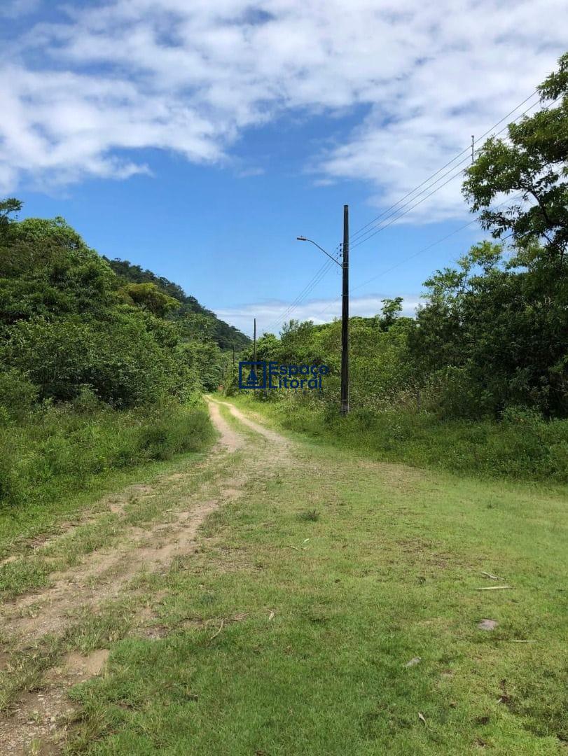 Fazenda-Sítio-Chácara, 81 hectares - Foto 17