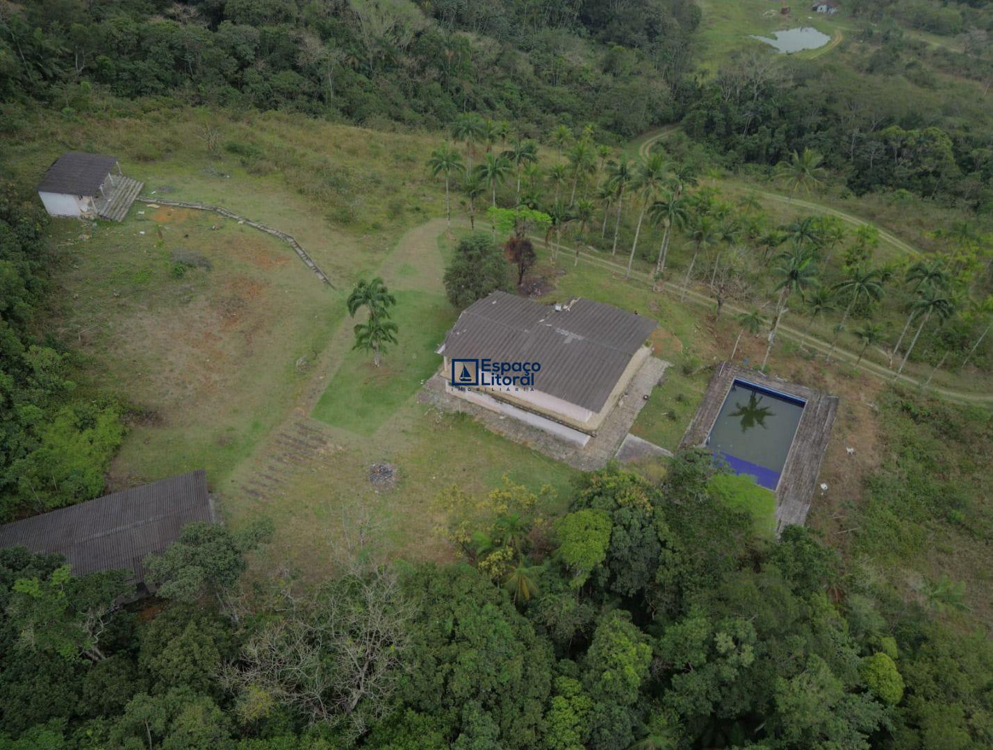 Fazenda-Sítio-Chácara, 81 hectares - Foto 3