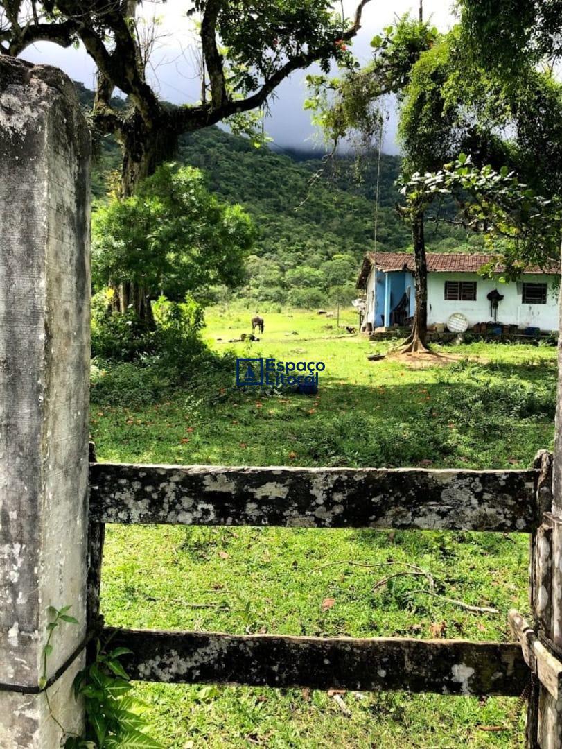 Fazenda-Sítio-Chácara, 81 hectares - Foto 21