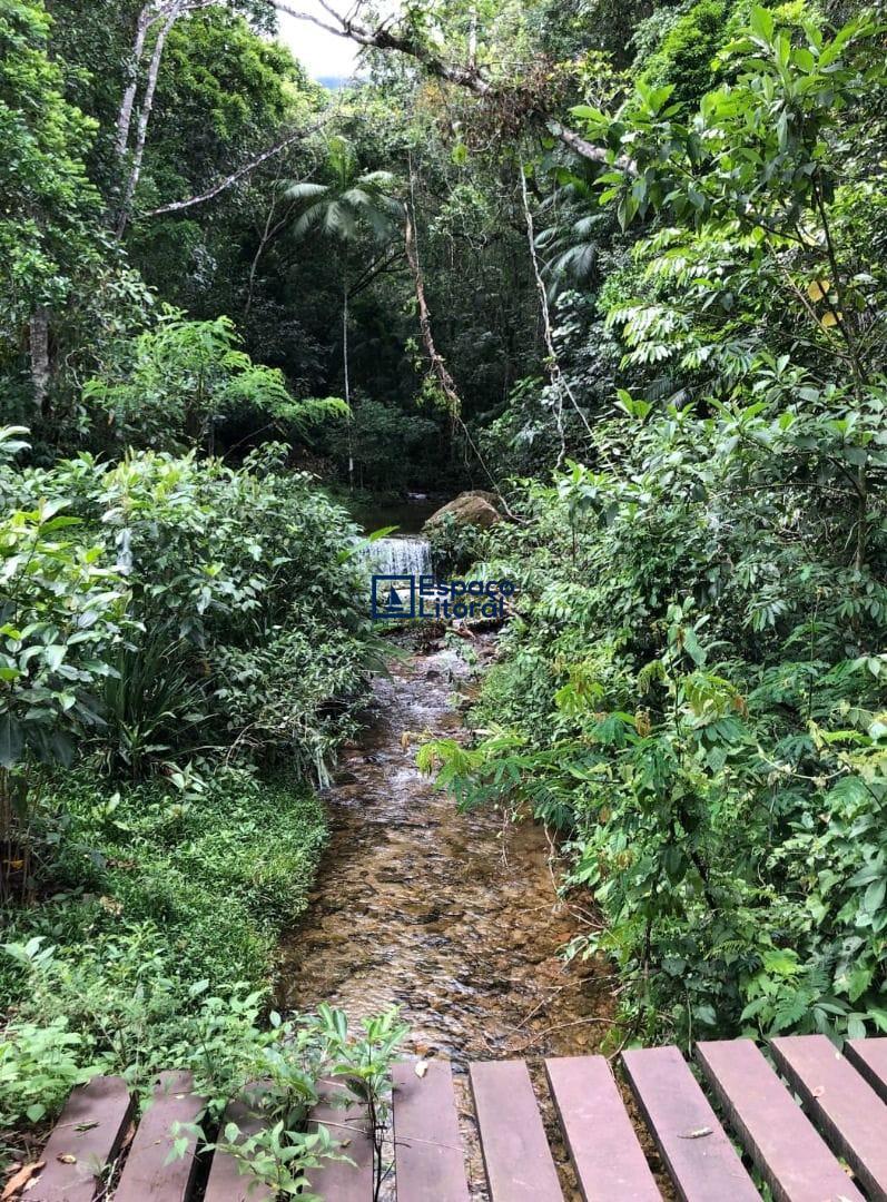 Fazenda-Sítio-Chácara, 81 hectares - Foto 5