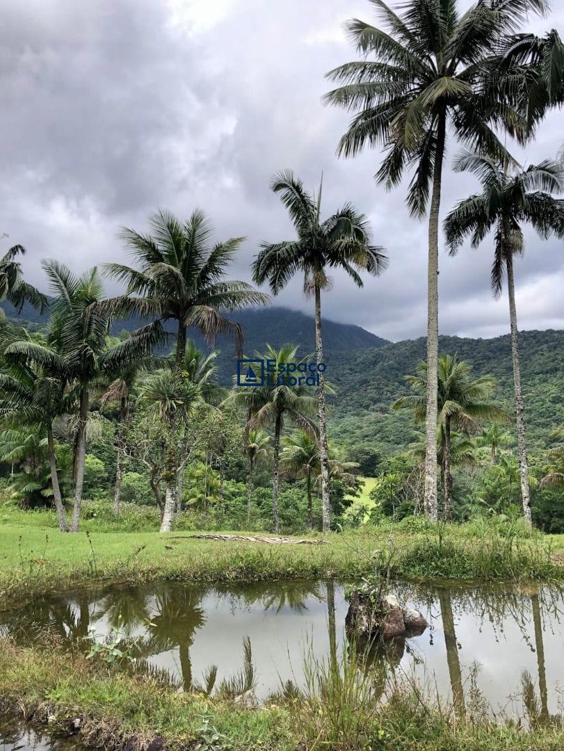 Fazenda-Sítio-Chácara, 81 hectares - Foto 6