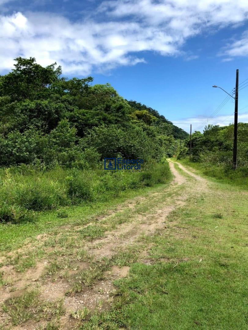 Fazenda-Sítio-Chácara, 81 hectares - Foto 10