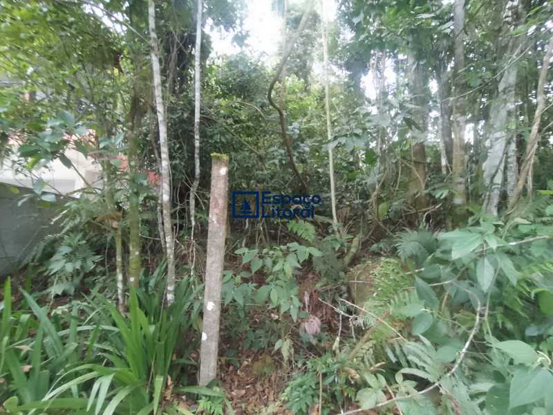 Terreno, 420 m² - Foto 11