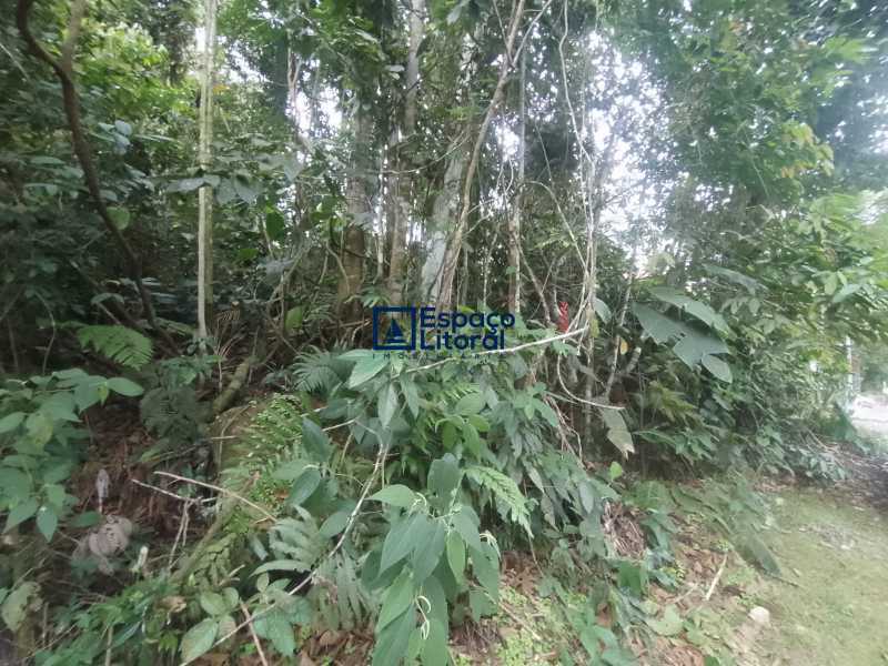 Terreno, 420 m² - Foto 12