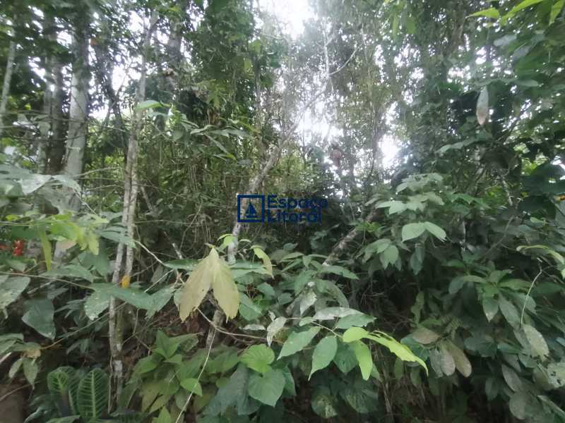 Terreno, 420 m² - Foto 13