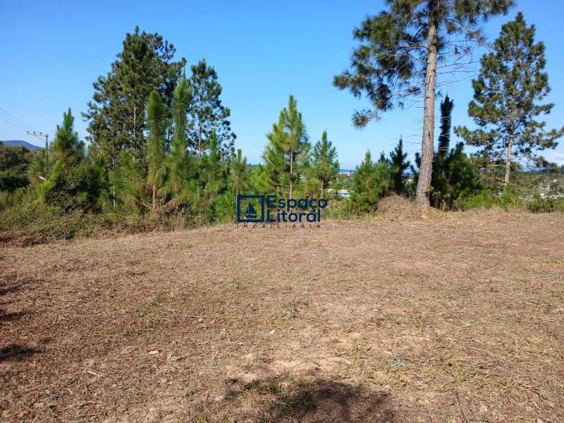 Apartamento, 360 m² - Foto 3