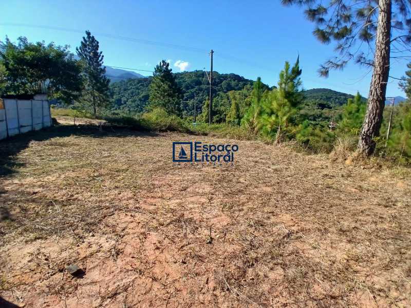 Apartamento, 360 m² - Foto 4