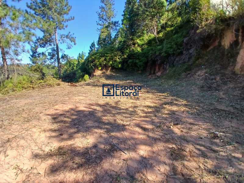 Apartamento, 360 m² - Foto 7