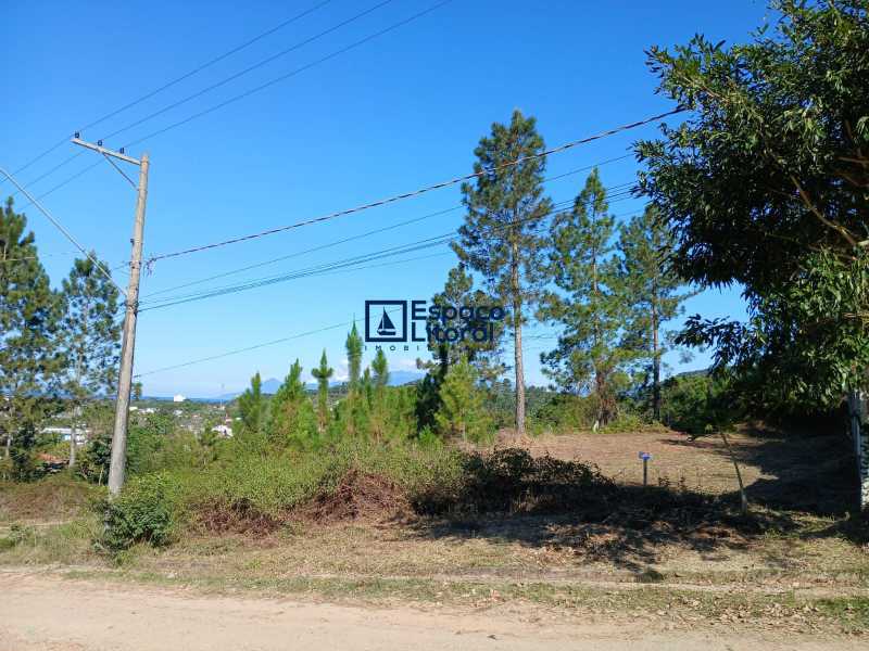 Apartamento, 360 m² - Foto 8