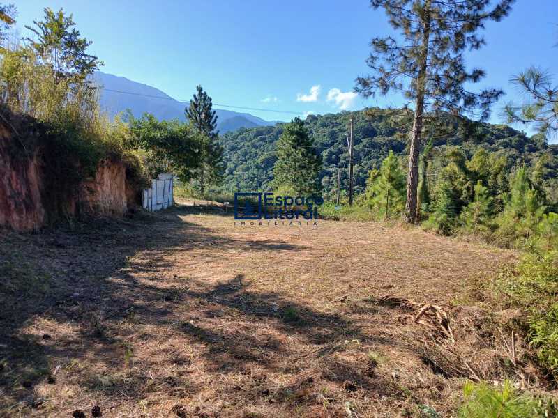 Apartamento, 360 m² - Foto 9