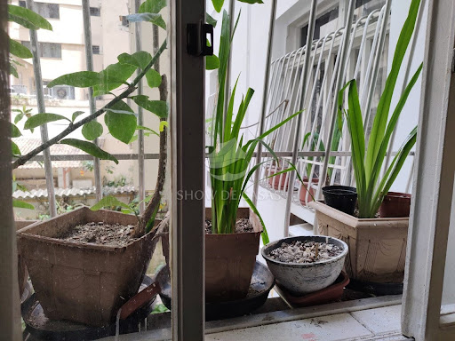 Apartamento, 3 quartos, 170 m² - Foto 16