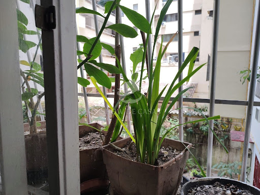 Apartamento, 3 quartos, 170 m² - Foto 23