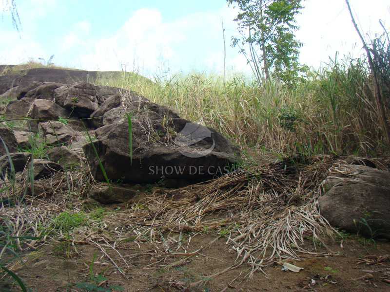 Sítio, 4 quartos, 200 m² - Foto 14