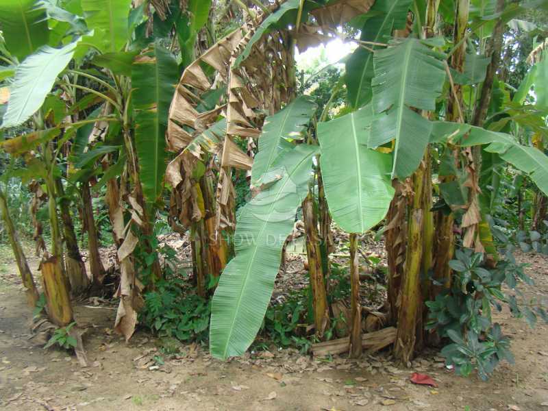 Sítio, 4 quartos, 200 m² - Foto 16