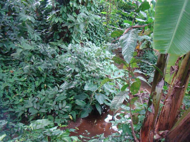 Sítio, 4 quartos, 200 m² - Foto 19