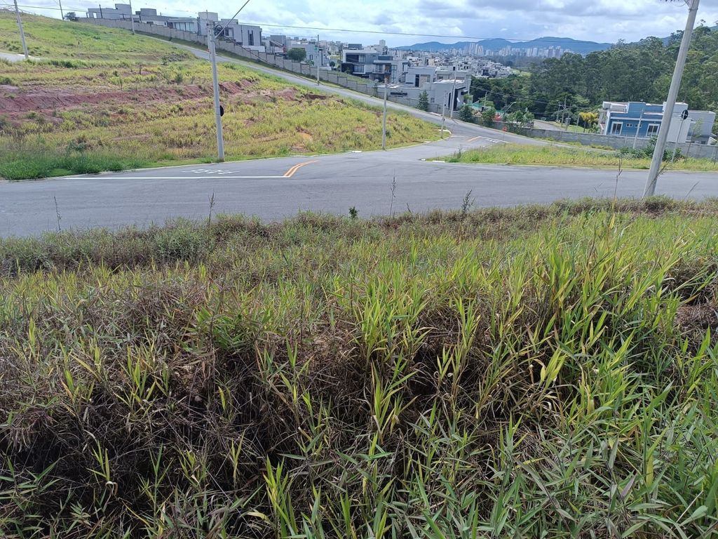 Terreno, 250 m² - Foto 2