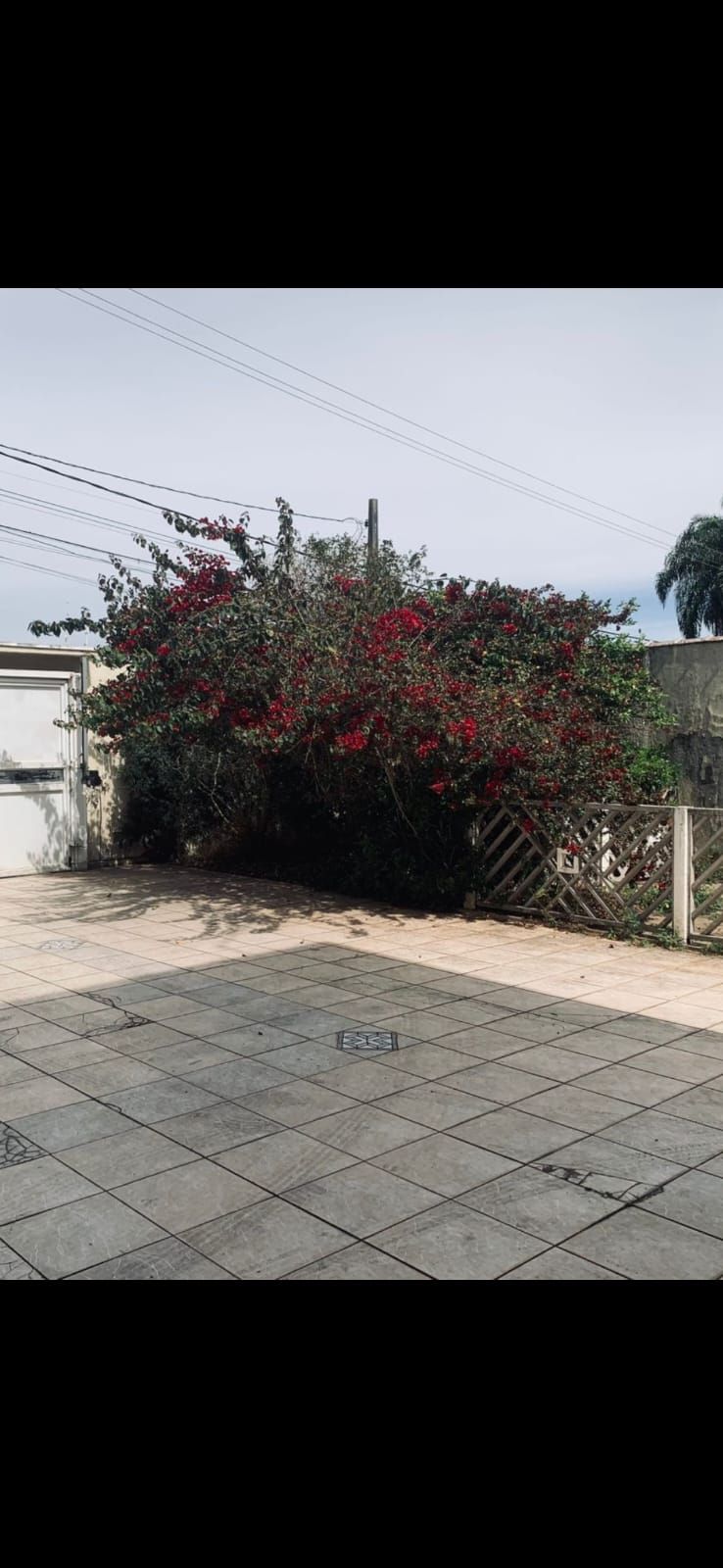 Casa, 4 quartos, 290 m² - Foto 18