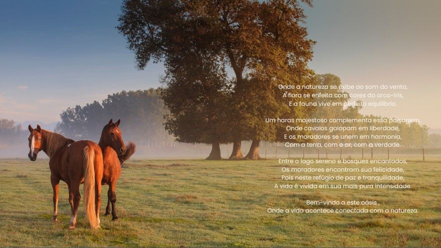 Terreno, 1235 m² - Foto 11