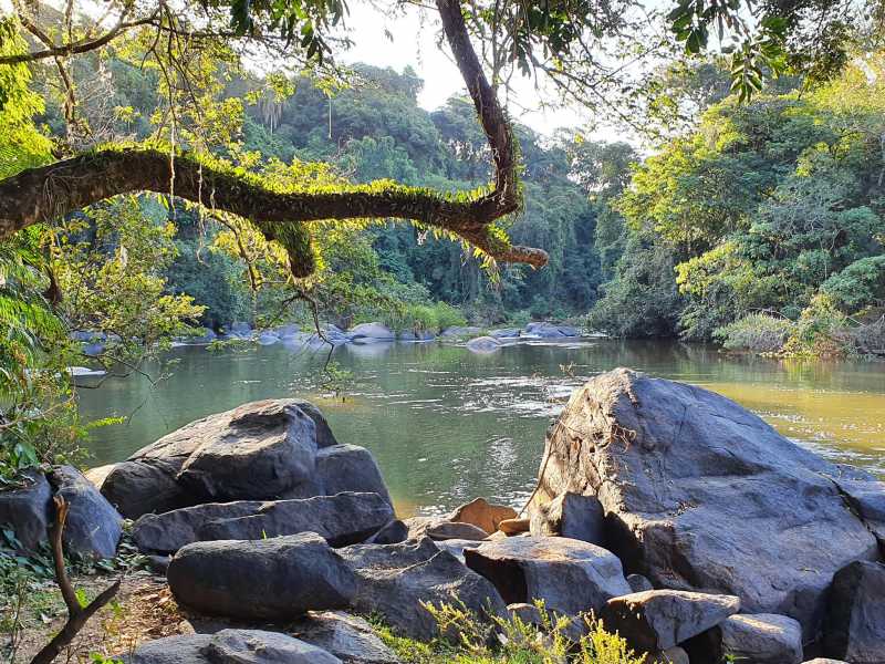 Chácara, 3 quartos - Foto 6