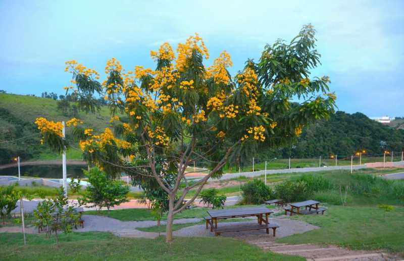 Terreno, 380 m² - Foto 1