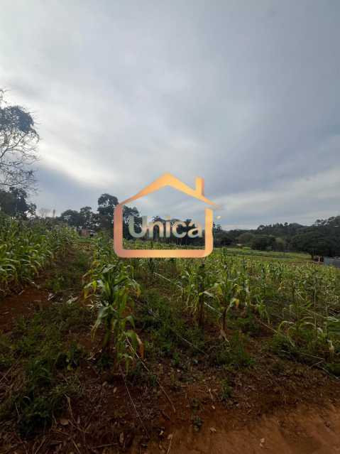 Terreno, 1 hectares - Foto 4