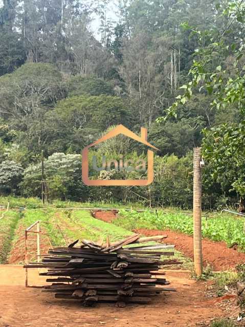 Terreno, 1 hectares - Foto 9