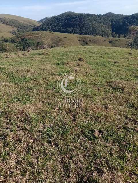 Terreno, 11 hectares - Foto 9