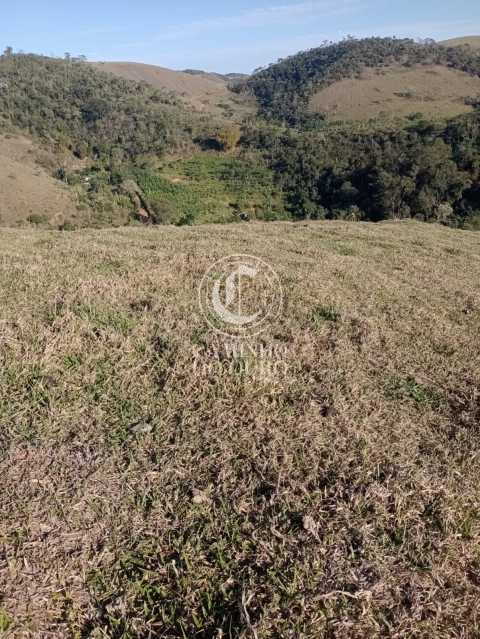 Terreno, 11 hectares - Foto 11