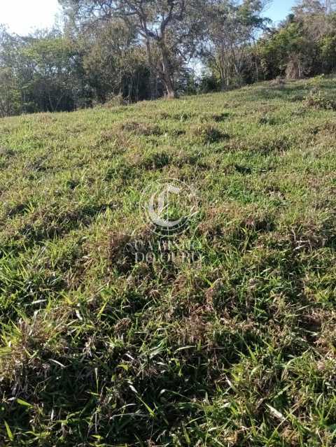 Terreno, 11 hectares - Foto 12