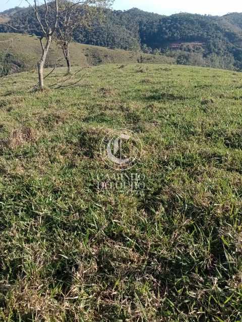 Terreno, 11 hectares - Foto 14