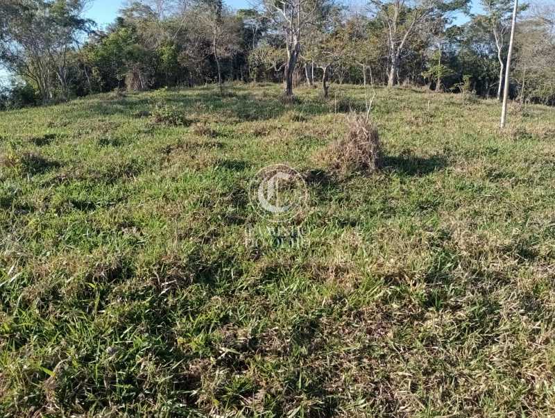 Terreno, 11 hectares - Foto 4