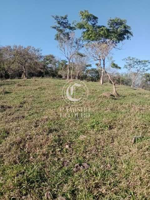 Terreno, 11 hectares - Foto 15