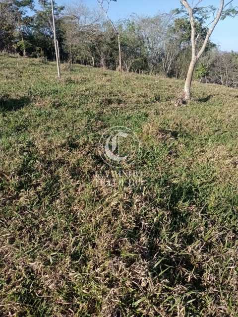 Terreno, 11 hectares - Foto 16