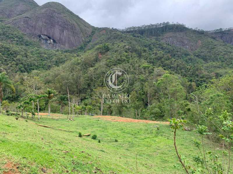 Terreno, 2 hectares - Foto 1