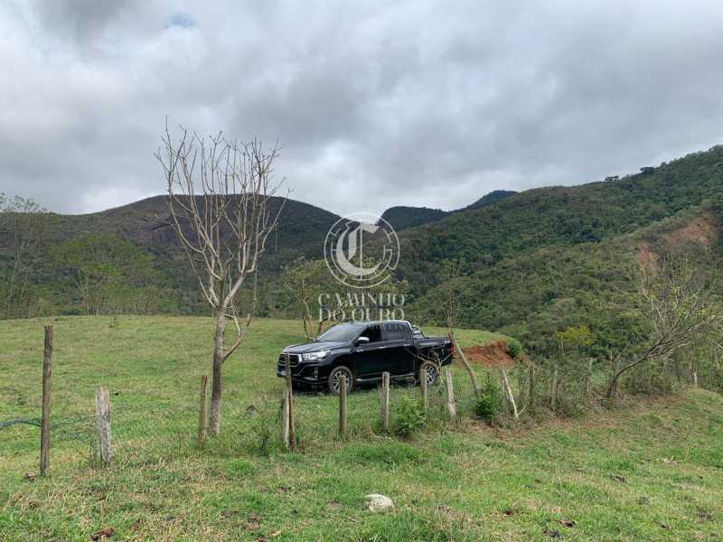 Terreno, 2 hectares - Foto 3