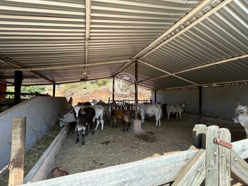 Fazenda, 4 quartos - Foto 3