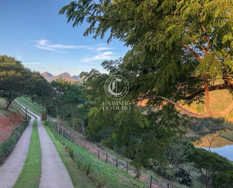 Terreno, 2 hectares - Foto 18
