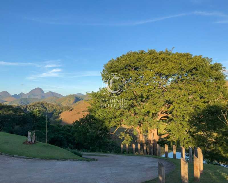Terreno, 2 hectares - Foto 13