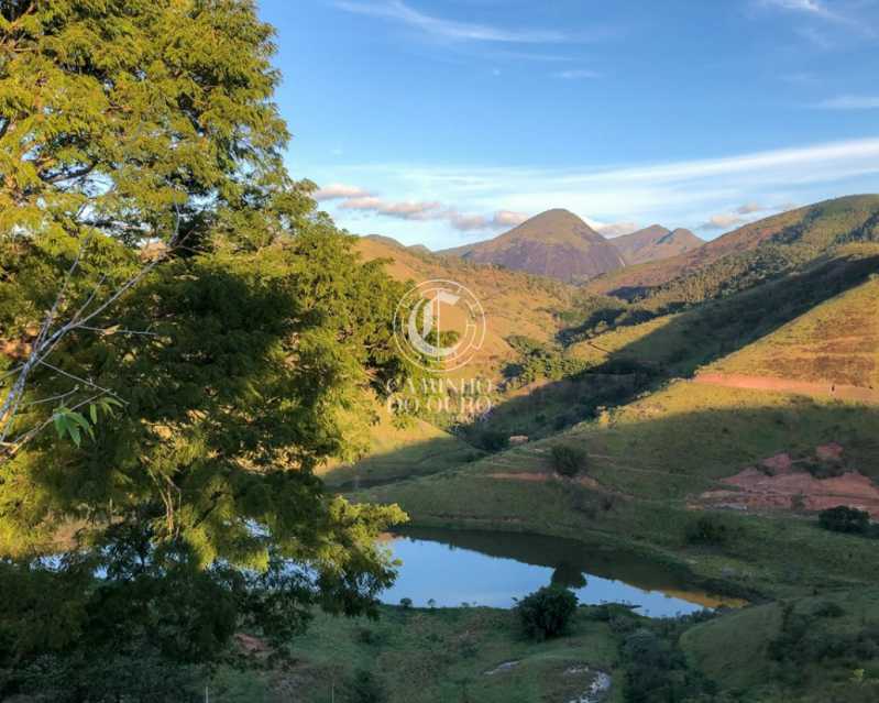 Terreno, 2 hectares - Foto 17