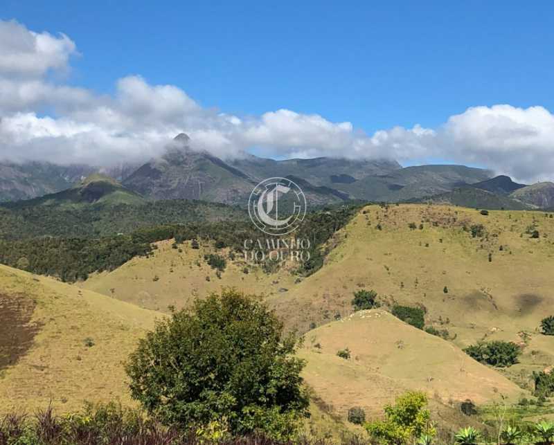 Terreno, 2 hectares - Foto 8