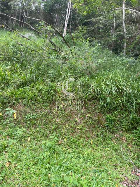 Casa, 5 quartos, 480 m² - Foto 28