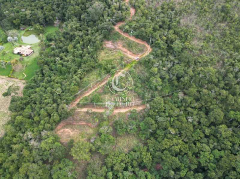 Terreno, 2 hectares - Foto 3